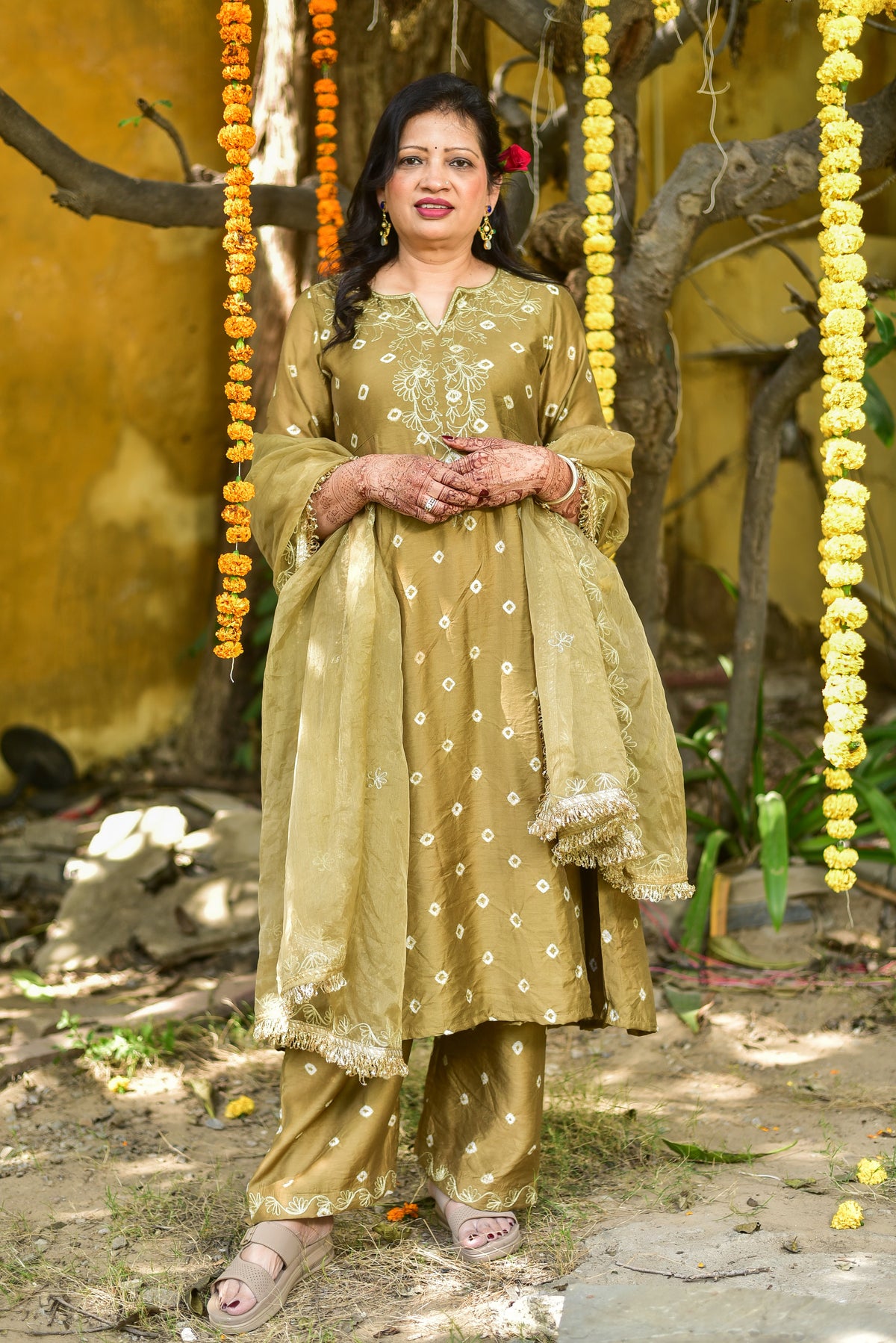 The Red Carpet Ready Sarees for Wedding Brunches in 2026