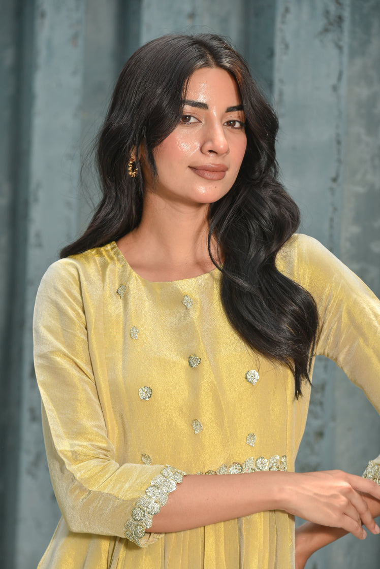 Beige Zari Silk Anarkali Set Full Look - Designer Ethnic Wear