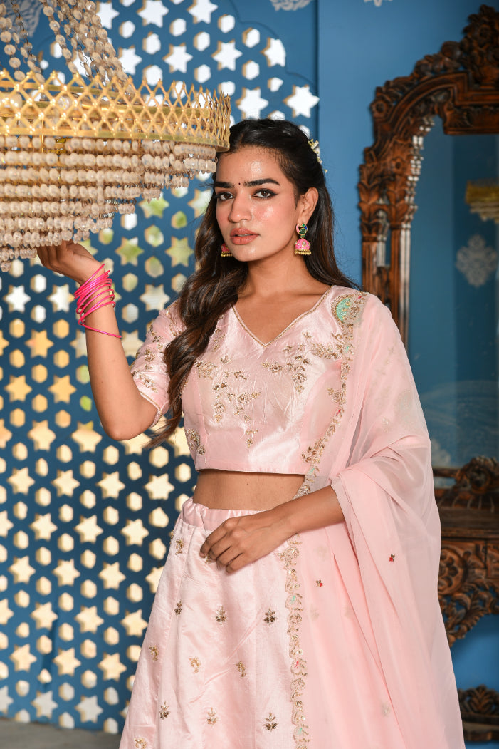 Blush Pink Heavy Embroidery Lehenga Set Model Shot - Designer Ethnic Wear