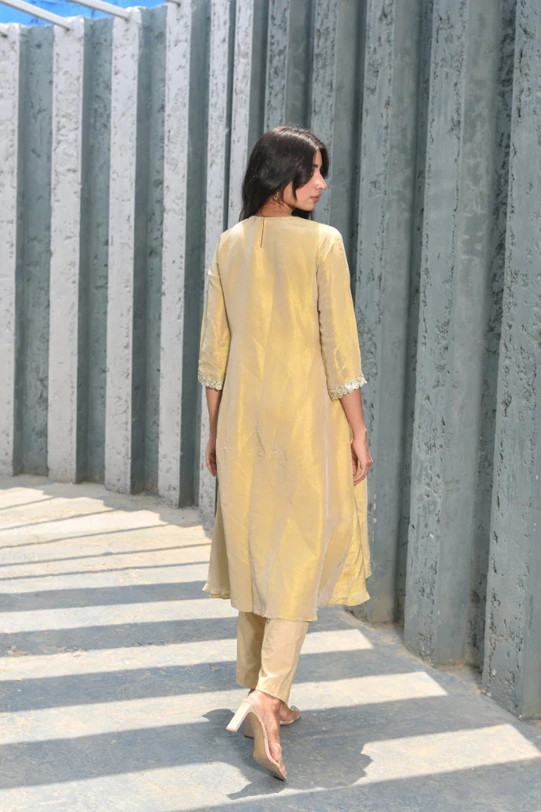 Beige Zari Silk Anarkali Set - Luxury Fashion by Saroj Jain - View 3